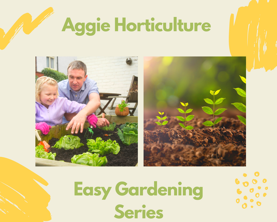 Aggie Horticulture Easy Gardening Series | Dinner Tonight