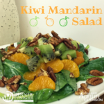 Kiwi Mandarin Salad a recipe by Dinner Tonight. Spinach topped with mandarin oranges, pecans, chopped kiwis and a yogurt poppy seed dressing on a plate with the salad dressing bottle in the back ground.