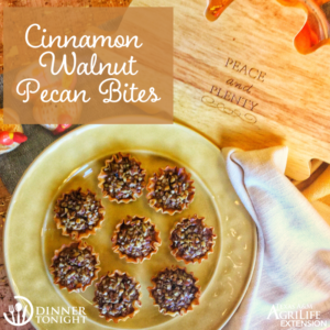 Cinnamon Walnut Pecan Bites recipe plated on a fall plate