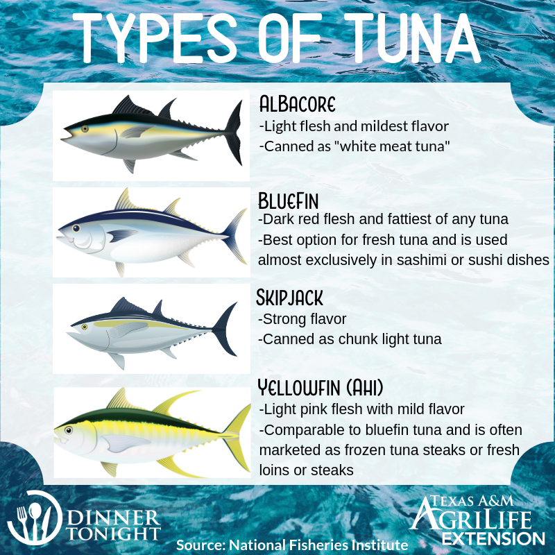Tuna Clothing Size Chart