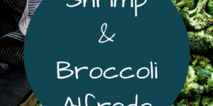 shrimp and broccoli alfredo, a recipe by dinner tonight