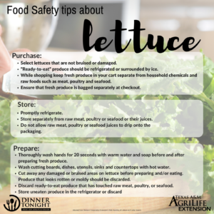Additional Safety Practices for Preparing All Types of Lettuces Purchasing: Select lettuces that are not bruised or damaged. “Ready-to-eat” produce should be refrigerated or surrounded by ice. While shopping keep fresh produce in your cart separate from household chemicals and raw foods such as meat, poultry and seafood. Ensure that fresh produce is bagged separately at checkout. Storing: Promptly refrigerate. Store separately from raw meat, poultry or seafood or their juices. Do not allow raw meat, poultry or seafood juices to drip onto the packaging. Preparing: Thoroughly wash hands for 20 seconds with warm water and soap before and after preparing fresh produce. Wash cutting boards, dishes, utensils, sinks and countertops with hot water. Cut away any damaged or bruised areas on lettuce before preparing and/or eating. Produce that looks rotten or moldy should be discarded. Discard ready-to-eat produce that has touched raw meat, poultry, or seafood. Store uneaten produce in the refrigerator or discard