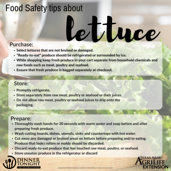 Food safety and lettuces | Dinner Tonight