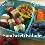 Sandwich kabobs in a travel lunch container with carrots, blueberries, and nuts for a balanced meal.