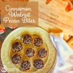 Cinnamon Walnut Pecan Bites recipe plated on a fall plate