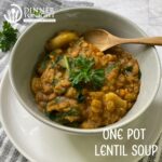 one pot lentil soup
